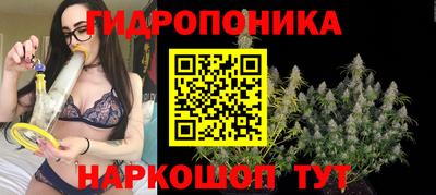 сатива Изобильный