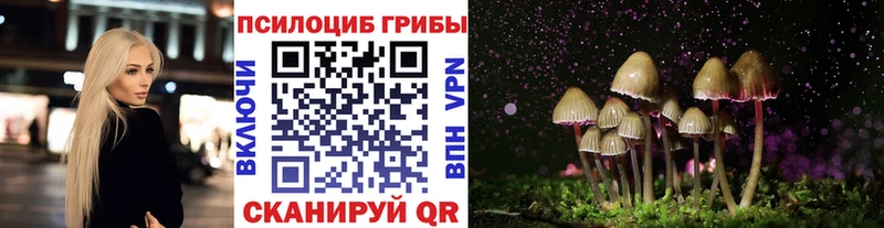где можно купить   Сунжа  Галлюциногенные грибы ЛСД 