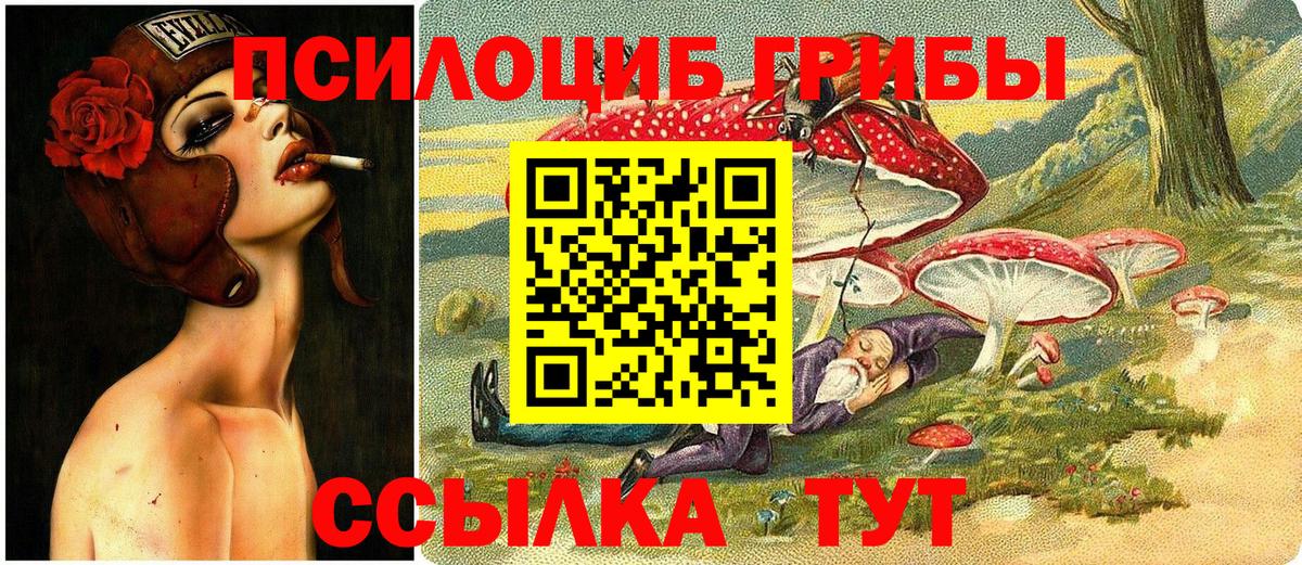 Сунжа  где купить наркотик  Вход с VPN  Галлюциногенные грибы мицелий 