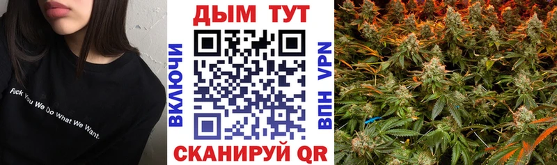 ссылка на мегу как зайти  наркошоп  Сунжа  Каннабис THC 21% 