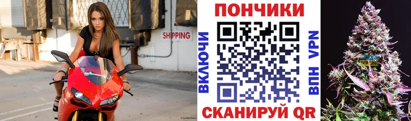 Канабис гибрид Сунжа
