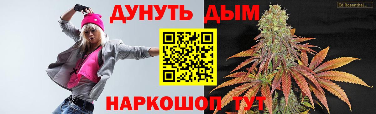 Конопля Bruce Banner Сунжа